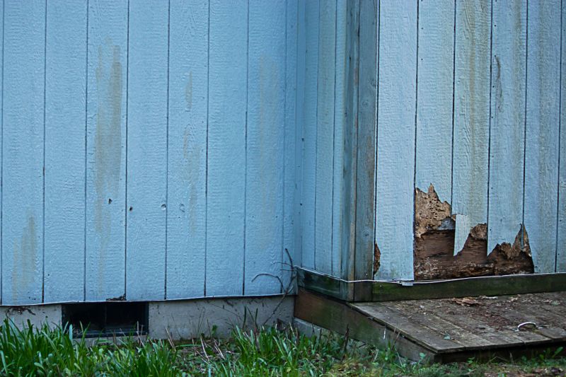 Siding and Exterior Restoration