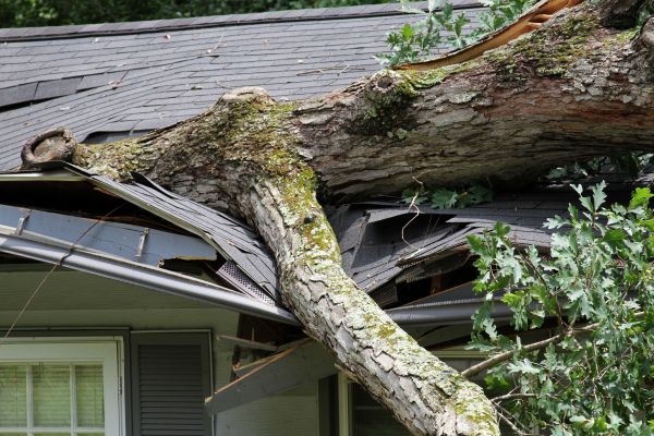 Cost of Storm Remediation in Flower Mound