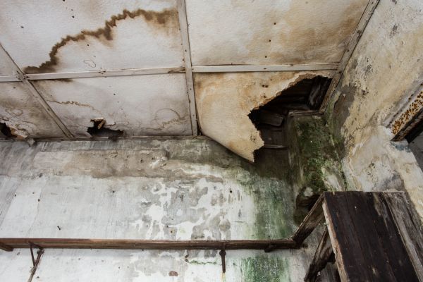 Cost of Water Damage Service in Flower Mound