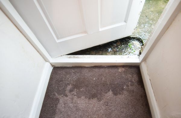 Cost of Wet Carpet Restoration in Flower Mound