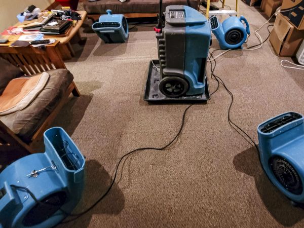 Cost of Flood Damage Recovery in Flower Mound