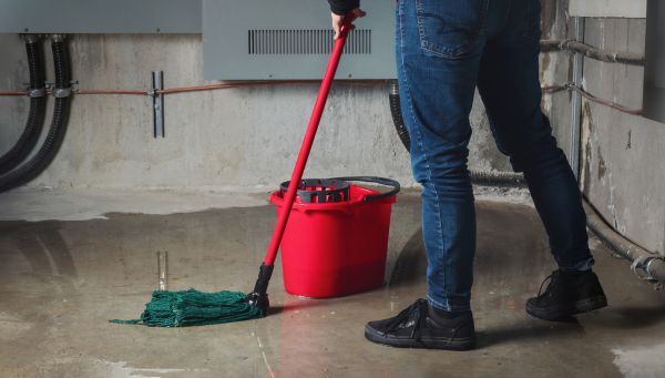 Cost of Flooded Basement Cleanup in Flower Mound