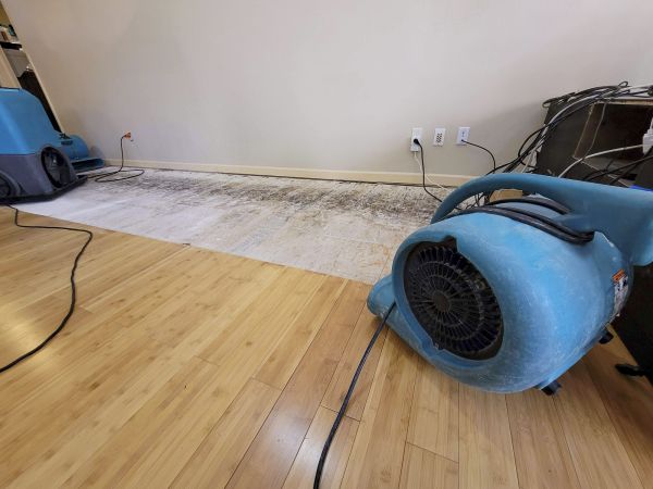 Cost of Water Damage Mitigation in Flower Mound