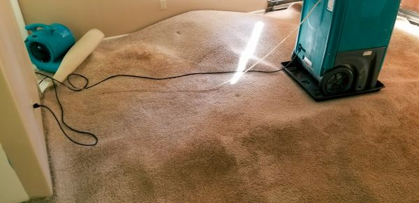 Cost of Flood Damage Cleanup in Flower Mound
