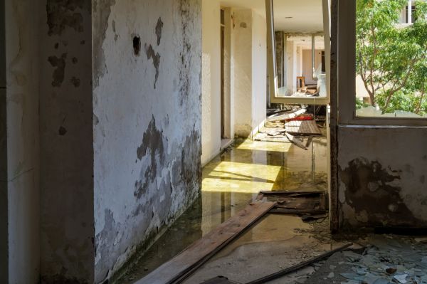 Cost of Water Removal Service in Flower Mound
