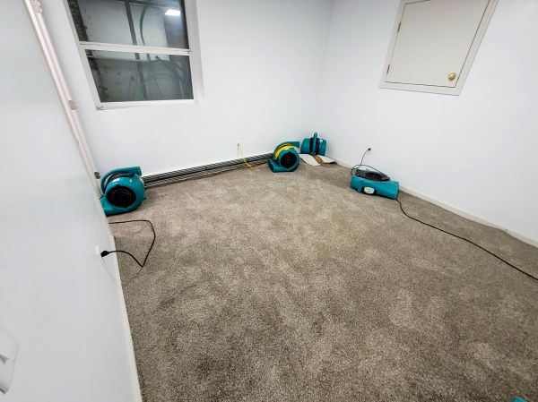 Flood Restoration Service in Flower Mound