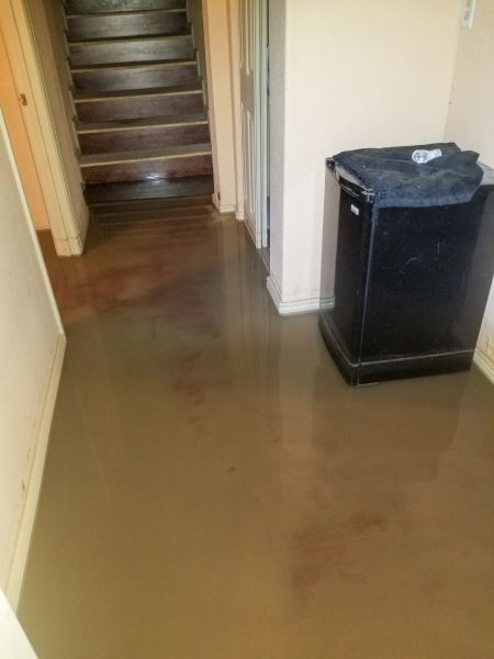 Cost of Emergency Water Removal in Flower Mound
