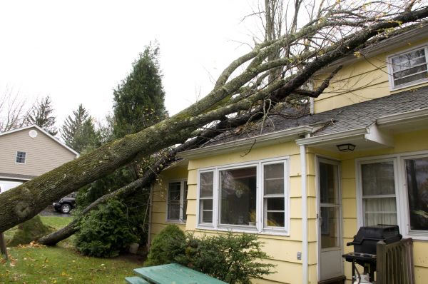 Cost of Storm Damage Mitigation in Flower Mound