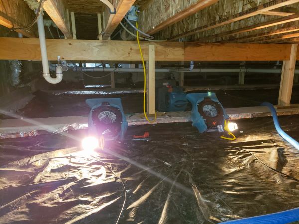 Cost of Crawlspace Water Removal in Flower Mound