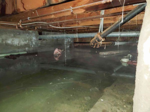 Cost of Crawlspace Water Restoration in Flower Mound